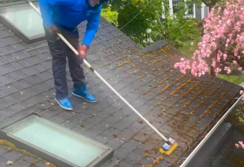How Moss Can Damage Your Roof Over Time: Key Insights